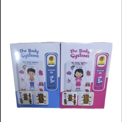 Wooden Puzzles The Body System