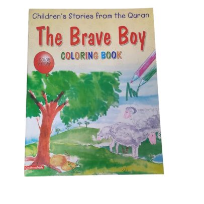 The Brave Boy Coloring and Story book